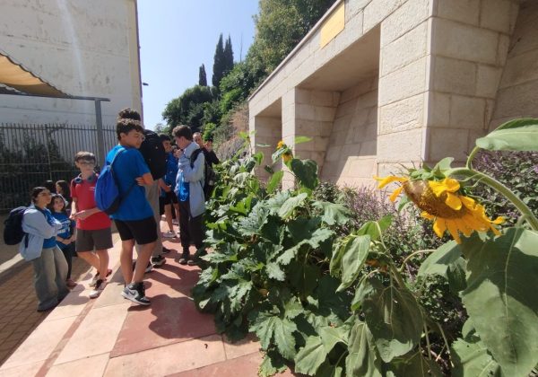 פעילויות החטיבה מאי 2025 | חג שבועות שמח! בשורות טובות
