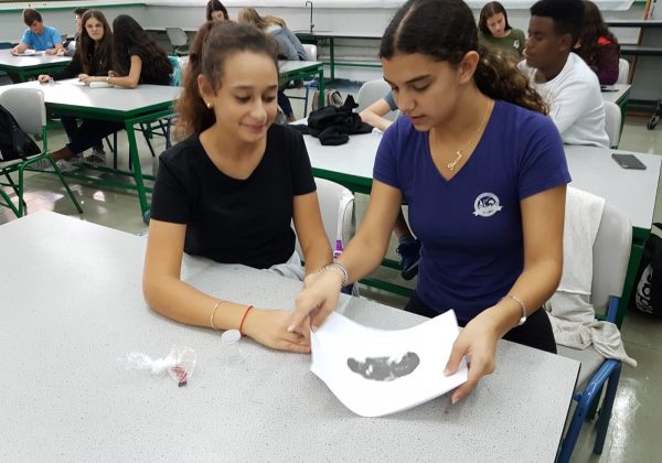 תלמידי מועדון חלל למדו על הקשר בין הזוהר הצפוני לבין השמש