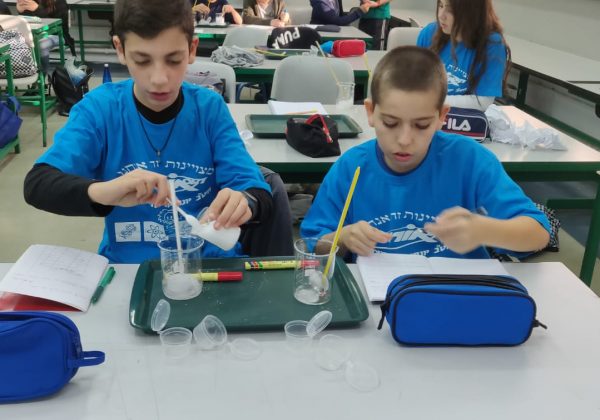 תלמידי מצוינות מדעית חקרו את השפעת המלח על טמפרטורת הקרח