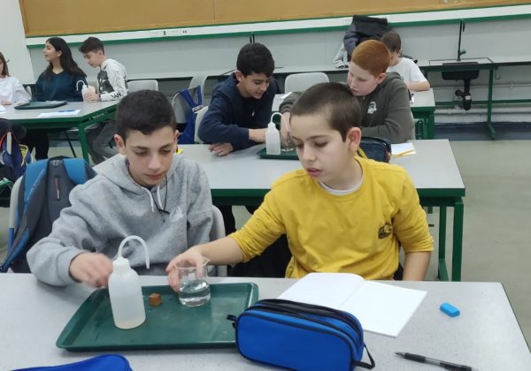 תלמידי מצוינות מדעית חקרו את תופעת האנומליה של המים בהקשר לתכונות החומרים