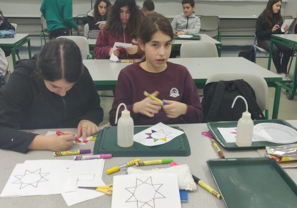 תלמידי מצוינות מדעית חקרו את כוח הנימיות בצמחים ואת עקרון הציפה