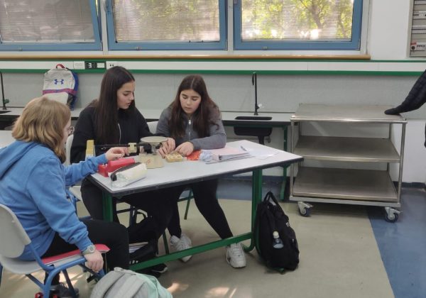 תלמידי מצוינות מדעית חקרו את הגורמים המשפיעים על חוזקה של שערה