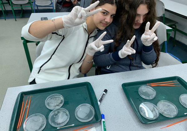תלמידי הכיתה המדעית ח’ למדו על חיידקים, פטריות ואופן זריעתם על גבי צלחת פטרי לצורכי מחקר