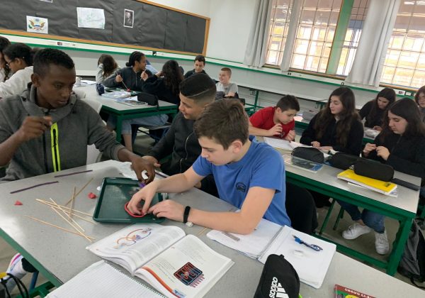 למידה חוויתית בביולוגיה, חוקרים ויוצרים דגמים בנושא מערכת ההובלה