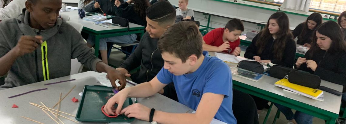 למידה חוויתית בביולוגיה, חוקרים ויוצרים דגמים בנושא מערכת ההובלה