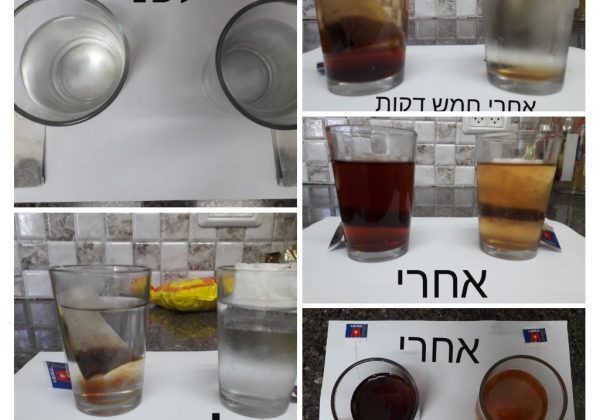 “למידה מרחוק”השפעת הטמפרטורה על הפעפוע