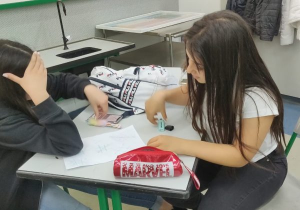 תלמידי מצוינות מדעית בפתרון חידות הגיון ומשחקים מתמטיים
