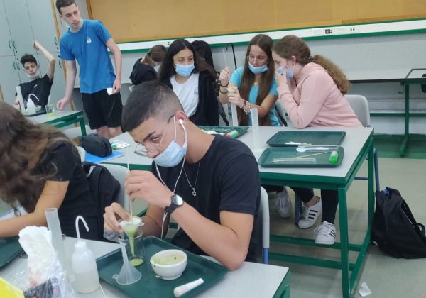 תלמידי כיתות ט’ חוקרים את מבנה ה-DNA בעזרת תהליכי מיצוי בשיעור ביולוגיה