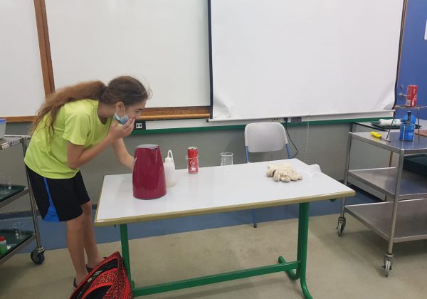 תלמידי כיתה ז’ מתנסים באווירודינמיקה