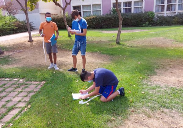 לומדים מתמטיקה בטבע 🌞 מחשבים חיבור וחיסור קטעים