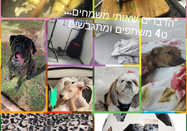 פעילות גיבוש בט’4. התלמידים צילמו מקום או משהו בבית שמשמח אותם בתקופה הזו