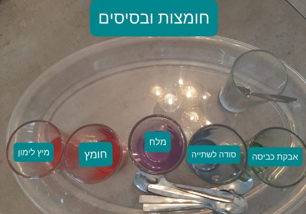 תלמידי המצוינות למדו על זיהוי תכונות חומצות ובסיסים בעזרת אינדיקטרים