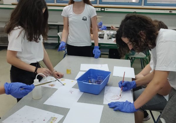 תלמידי המצוינות יוצרים איורים מצבעי ירקות ותבלינים בהמשך ללימודי שיטות ההפרדה בכימיה