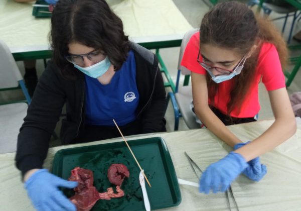 תלמידי כיתה מדעית ח’ לומדים על תפקיד ומבנה הלב, דרך הידיים בניתוח לב