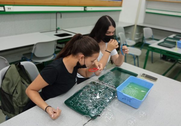תלמידי מדעית ח’ במפגש סיום שנה מלא בכייף והנאה מדעית סביב בועות הסבון
