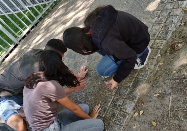 תלמידי שכבה ט חוקרים את עקרון הפעולה של מיקרוסקופ ובניקולר בהקשר למבנה תאי בשיעור ביולוגיה