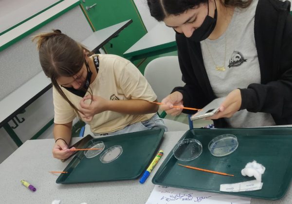 תלמידי מדעית ח’ בחקר מיקרוביולוגי, בודקים את יעילות וסוג החיטוי של משטחים