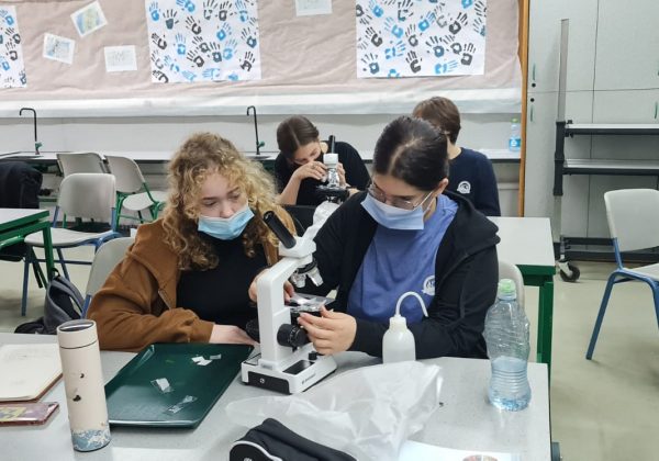 תלמידי כיתה ט’ מדעית צופים באמצעות מיקרוסקופים בדגימות תאים מוכנות ובדגימות שהכינו בעצמם