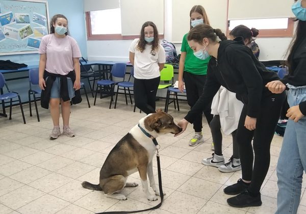 תחומי עניין – זה כל הfun – שכבת ז’ תחום עניין כלבנות