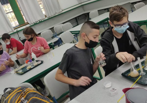 תלמידי מדעית ח’ מתרגלים מיומנויות חקר בנושא שמרים