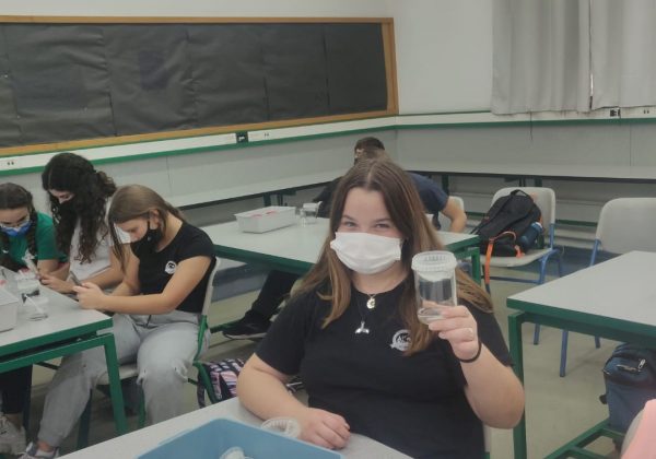 תלמידי מדעית ח’ מתכננים ומייצרים מערכות לטיהור מים כחלק מלימודי העשרה בכימיה