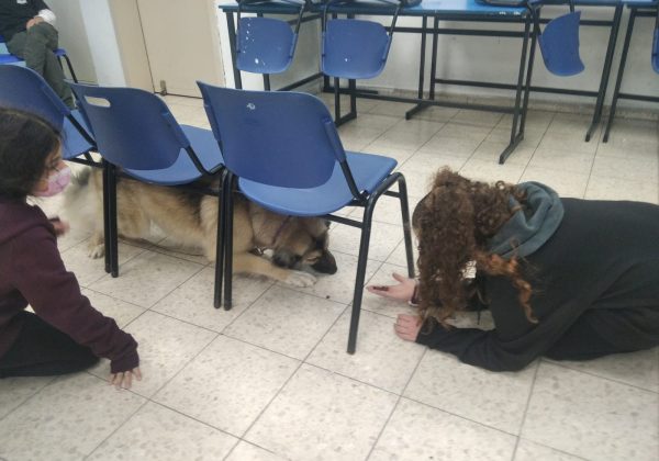 תחום עניין כלבנות מאלפים ונהנים