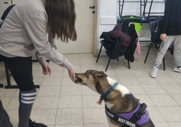 תחום עניין כלבנות מאלפים ונהנים
