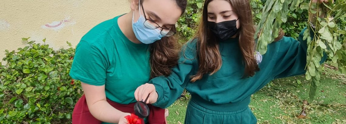 כיתה ח’2 חוקרת את הסביבה האקולוגית של החטיבה ואת יחסי הגומלין בין היצורים החיים