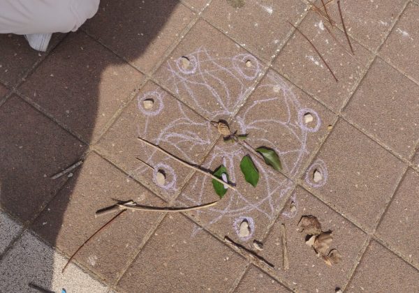 פעילות טבע עירוני בשיעור ביולוגיה, התלמידים יצרו מנדלות בטבע