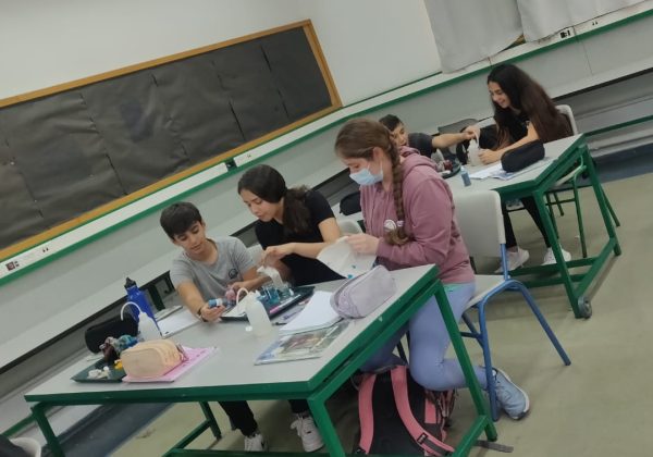 תלמידי שכבה ז’ חקרו את כוח הנימיות דרך מגוון ניסויים במהלך שיעור ביולוגיה