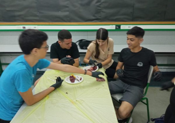 תלמידי ט’ לומדים באתגר שיגור טילים ומכירים את הלב דרך הידיים
