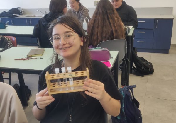 תלמידי מדעית ט חוקרים את תכונות הפחמימות תוך שימוש במגוון אינדיקטורים בשיעור ביולוגיה