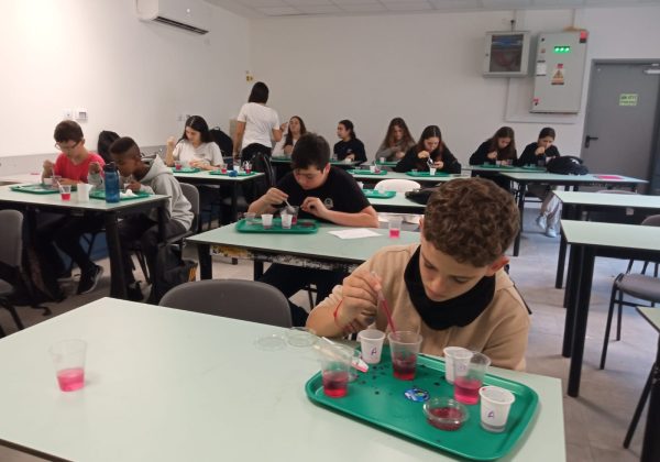 תלמידי ח’ מדעית בסיום משימת אתגר נחיתת 🚀 הביצה 🥚 ומעבדת בישול מולקולרי – קוויאר פטל, בתהליך ספריפיקציה