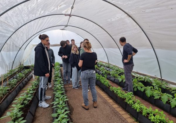 העולים מכיתה ט’ בסיור בחווה חקלאית, לומדים עברית ועל צמחים ומאכלים מקומיים, ונהנים מאוד!