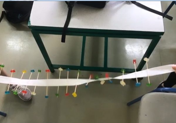 תלמידי ט’ מדעית בנו דגם של מבנה הדנא תוך זיקה לחוקיות הכימית של המולקולה