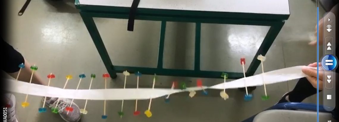 תלמידי ט’ מדעית בנו דגם של מבנה הדנא תוך זיקה לחוקיות הכימית של המולקולה