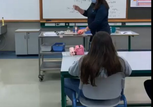 העשרה במדעים שכבה ח’ מבצעים ניסויים ונהנים