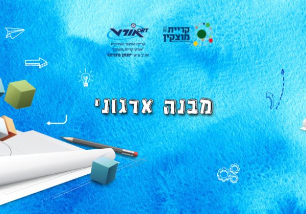 מבנה ארגוני