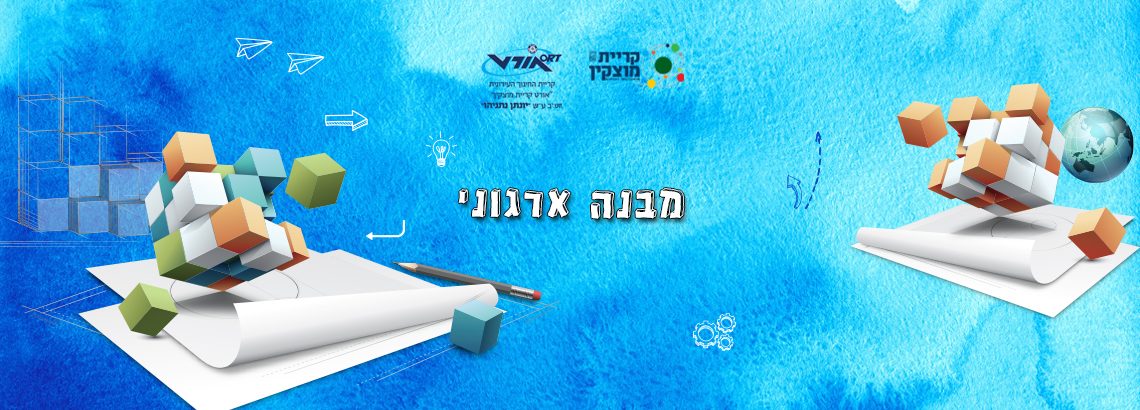 מבנה ארגוני