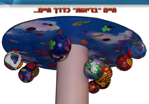 מיצג – “תזונה נכונה”